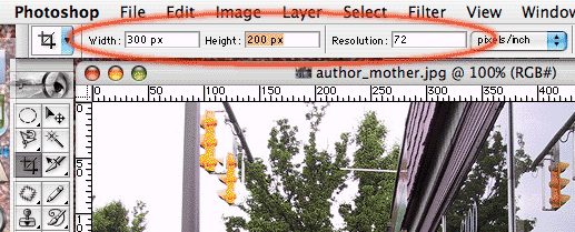 Cropping options in Photoshop.