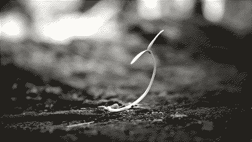 Growing plant